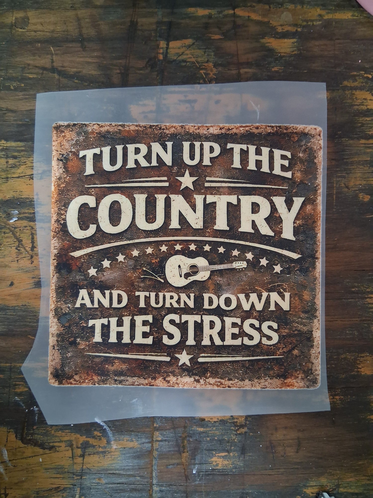 Adult Designs DTF Transfers